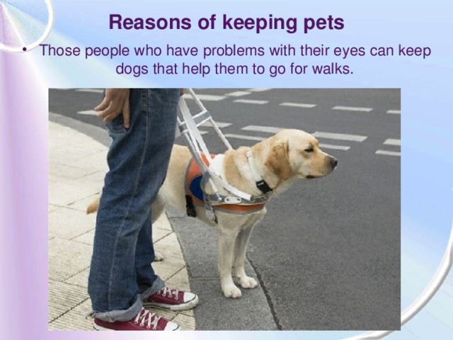 Reasons of keeping pets