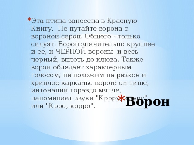 Эта птица занесена в Красную Книгу. Не путайте ворона с вороной серой. Общего - только силуэт. Ворон значительно крупнее и ее, и ЧЕРНОЙ вороны и весь черный, вплоть до клюва. Также ворон обладает характерным голосом, не похожим на резкое и хриплое карканье ворон: он тише, интонации гораздо мягче, напоминает звуки 