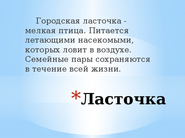 Городская ласточка - мелкая птица. Питается летающими насекомыми, которых ловит в воздухе. Семейные пары сохраняются в течение всей жизни.