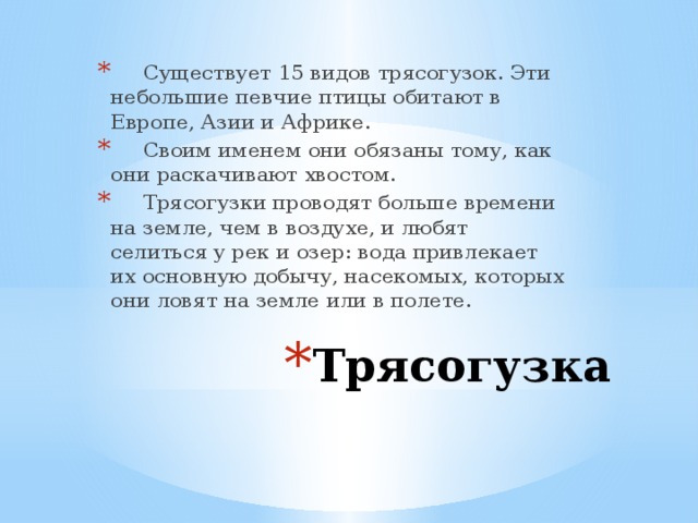 Существует 15 видов трясогузок. Эти небольшие певчие птицы обитают в Европе, Азии и Африке.  Своим именем они обязаны тому, как они раскачивают хвостом.  Трясогузки проводят больше времени на земле, чем в воздухе, и любят селиться у рек и озер: вода привлекает их основную добычу, насекомых, которых они ловят на земле или в полете. Трясогузка