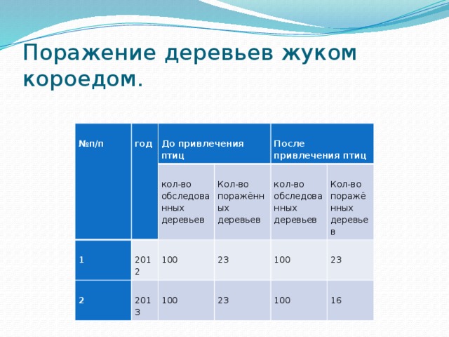 Поражение деревьев жуком короедом.  № п/п  год  1  До привлечения птиц  2  2012  кол-во обследованных деревьев  Кол-во поражённых деревьев  2013  100  После привлечения птиц  кол-во обследованных деревьев  23  100  Кол-во поражённых деревьев  23  100  23  100  16