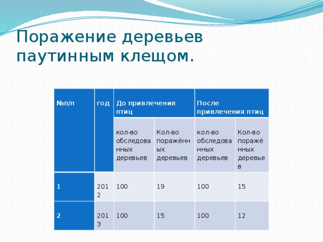 Поражение деревьев паутинным клещом.  № п/п  год  До привлечения птиц  1  кол-во обследованных деревьев  2  2012  2013  Кол-во поражённых деревьев  100  После привлечения птиц  кол-во обследованных деревьев  100  19  Кол-во поражённых деревьев  15  100  15  100  12