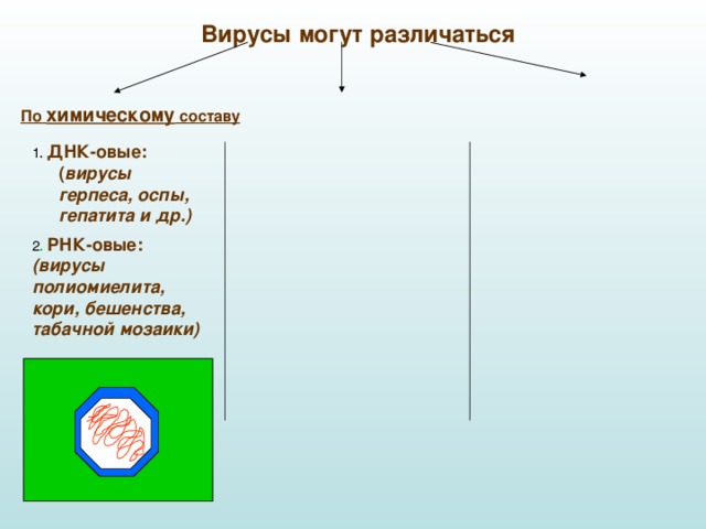 Вирусы могут различаться По химическому составу 1 . ДНК-овые: ( вирусы герпеса, оспы, гепатита и др.)  2 . РНК-овые:  (вирусы полиомиелита, кори, бешенства, табачной мозаики)