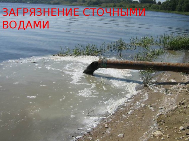 Загрязнение сточными водами