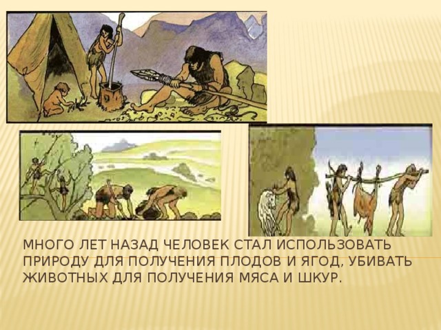 Много лет назад человек стал использовать природу для получения плодов и ягод, убивать животных для получения мяса и шкур.