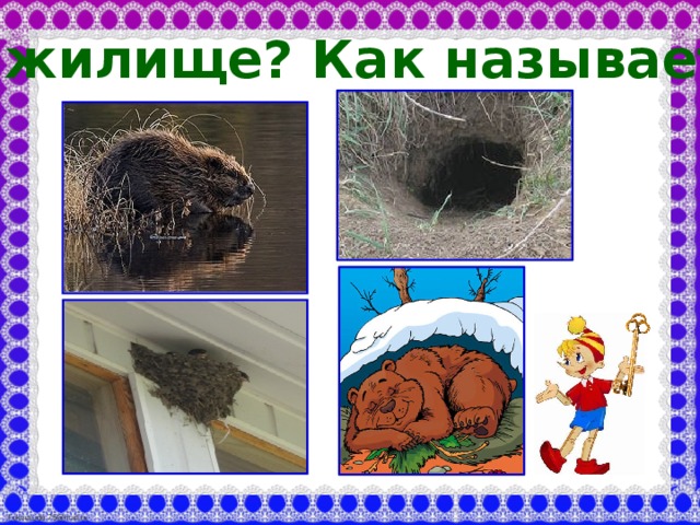 Чьё жилище? Как называется?