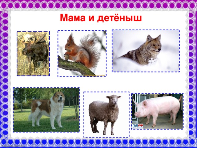 Мама и детёныш