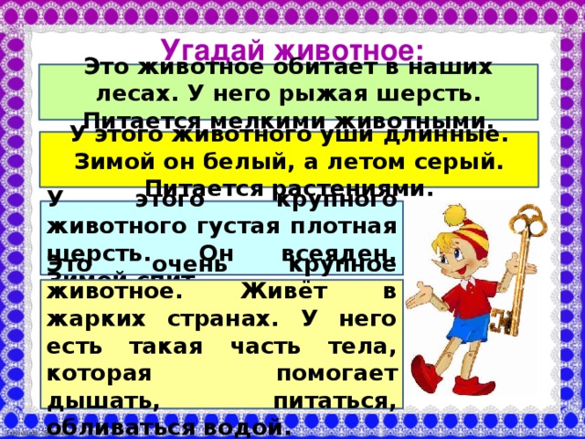 Угадай животное: Это животное обитает в наших лесах. У него рыжая шерсть. Питается мелкими животными. У этого животного уши длинные. Зимой он белый, а летом серый. Питается растениями. У этого крупного животного густая плотная шерсть. Он всеяден. Зимой спит. Это очень крупное животное. Живёт в жарких странах. У него есть такая часть тела, которая помогает дышать, питаться, обливаться водой.