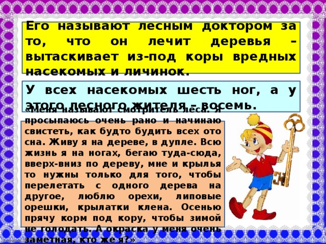 Его называют лесным доктором за то, что он лечит деревья – вытаскивает из-под коры вредных насекомых и личинок. У всех насекомых шесть ног, а у этого лесного жителя – восемь. «Меня называют смотритель леса. Я просыпаюсь очень рано и начинаю свистеть, как будто будить всех ото сна. Живу я на дереве, в дупле. Всю жизнь я на ногах, бегаю туда-сюда, вверх-вниз по дереву, мне и крылья то нужны только для того, чтобы перелетать с одного дерева на другое, люблю орехи, липовые орешки, крылатки клена. Осенью прячу корм под кору, чтобы зимой не голодать. А окраска у меня очень заметная, кто же я?»