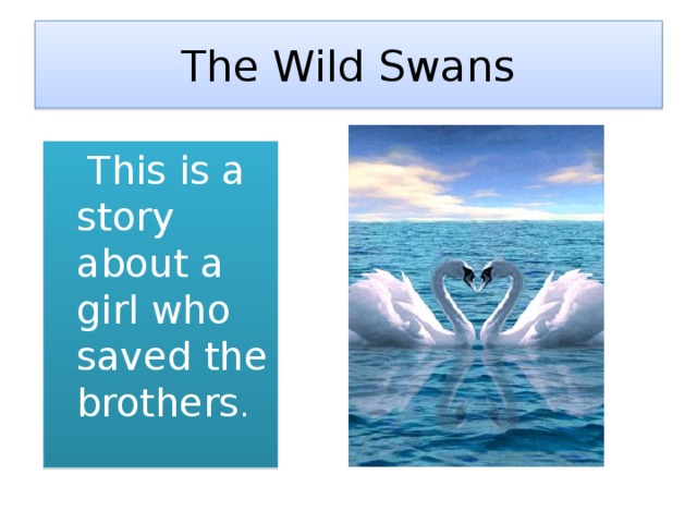 The Wild Swans  This is a story about a girl who saved the brothers .