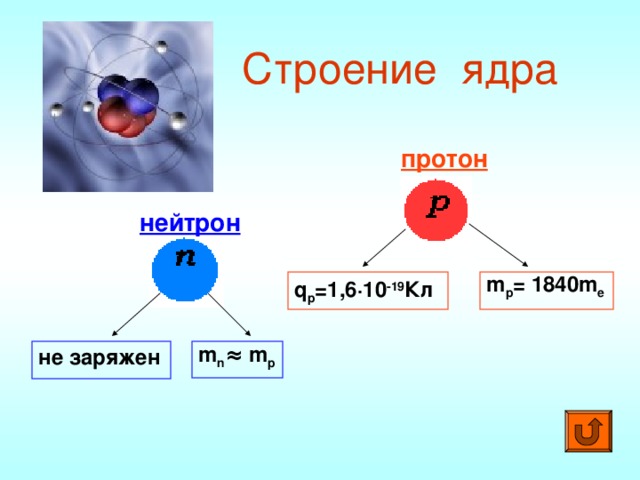 Строение ядра протон нейтрон m p = 1 840m e q p = 1,6 · 10 -19 Кл m n ≈ m p не заряжен