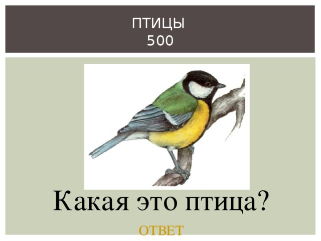 ПТИЦЫ  500 Какая это птица? ОТВЕТ