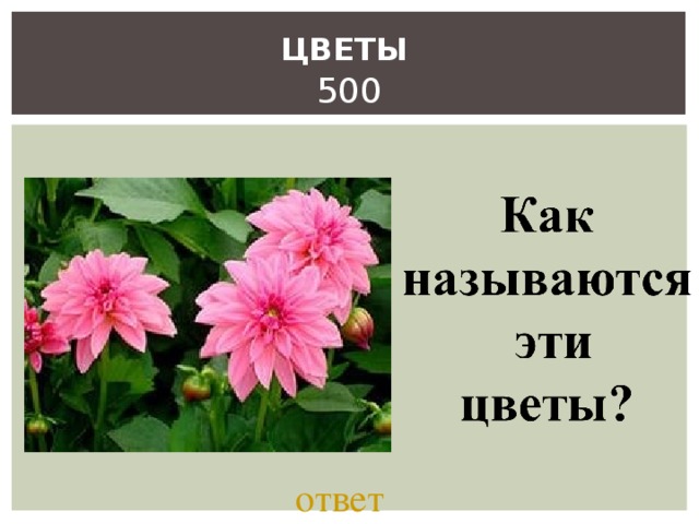 ЦВЕТЫ   500 ответ