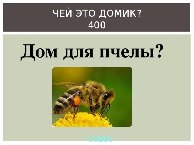 ЧЕЙ ЭТО ДОМИК?  400 Дом для пчелы? ответ