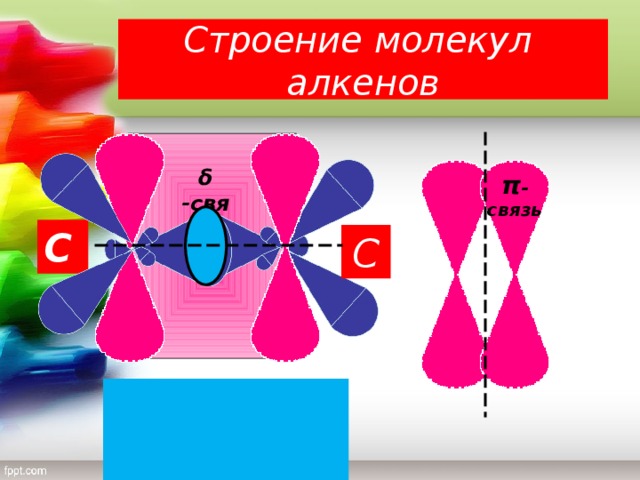 Строение молекул алкенов δ  -связь π -связь С С δ  δ  С = С С = С π π