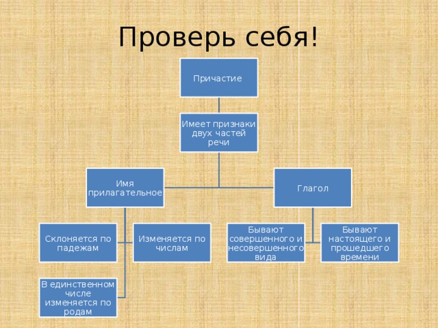 Проверь себя! Причастие Имеет признаки двух частей речи Имя прилагательное Глагол Склоняется по падежам Изменяется по числам Бывают совершенного и несовершенного вида Бывают настоящего и прошедшего времени В единственном числе изменяется по родам