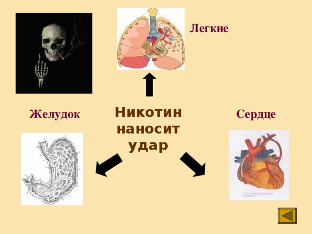 Табачный дым способствует развитию болезней:   сердца, сосудов, желудка, рак легких, бронхит.  Каждая выкуренная сигарета уносит 5,5 минут твоей жизни.   19