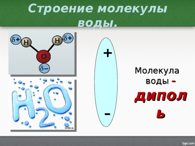 Строение молекулы воды. + Молекула воды – диполь –