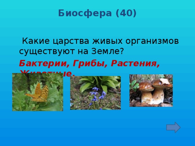 Биосфера (40)     Какие царства живых организмов существуют на Земле?  Бактерии, Грибы, Растения, Животные .
