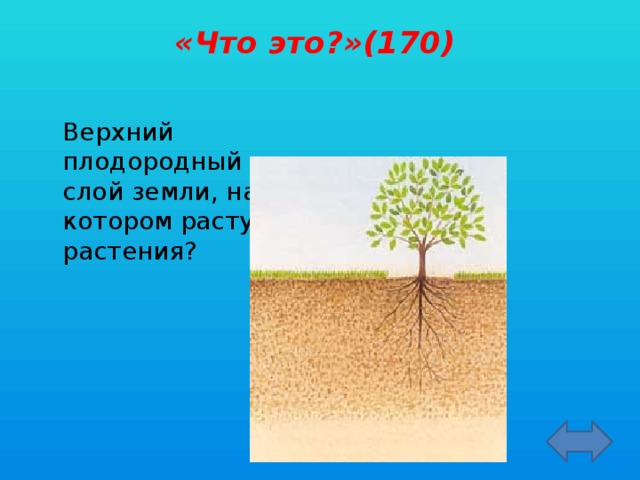 «Что это?»(170)    Верхний плодородный слой земли, на котором растут растения?