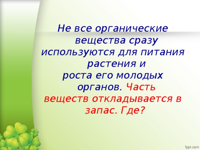 Не все органические вещества сразу используются для питания растения и роста его молодых органов. Часть веществ откладывается в запас. Где?