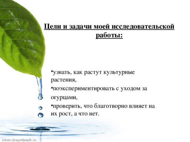 Цели и задачи моей исследовательской работы:   узнать, как растут культурные растения, поэкспериментировать с уходом за огурцами,