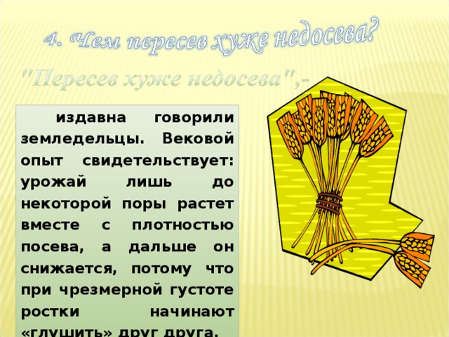 издавна говорили земледельцы. Вековой опыт свидетельствует: урожай  лишь до некоторой поры растет вместе с плотностью посева, а дальше он снижается, потому что при чрезмерной густоте ростки начинают «глушить» друг друга.