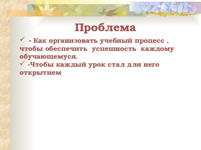 Проблема  - Как организовать учебный процесс , чтобы обеспечить успешность каждому обучающемуся.