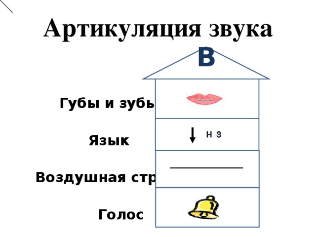 Артикуляция звука В     Губы и зубы   Язык   Воздушная струя   Голос