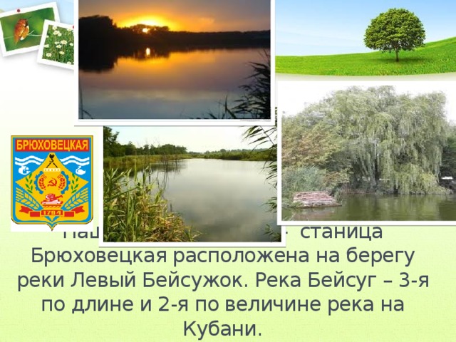 Наш районный центр- станица Брюховецкая расположена на берегу реки Левый Бейсужок. Река Бейсуг – 3-я по длине и 2-я по величине река на Кубани.