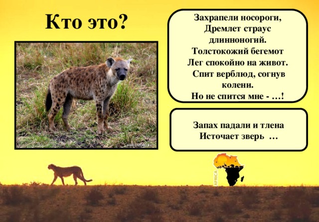 Кто это? Захрапели носороги, Дремлет страус длинноногий. Толстокожий бегемот Лег спокойно на живот.  Спит верблюд, согнув колени. Но не спится мне - …! Запах падали и тлена Источает зверь …