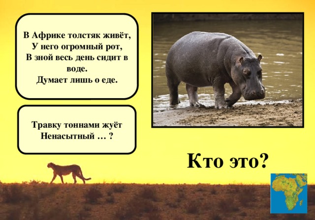 В Африке толстяк живёт, У него огромный рот, В зной весь день сидит в воде. Думает лишь о еде. Травку тоннами жуёт Ненасытный … ? Кто это?