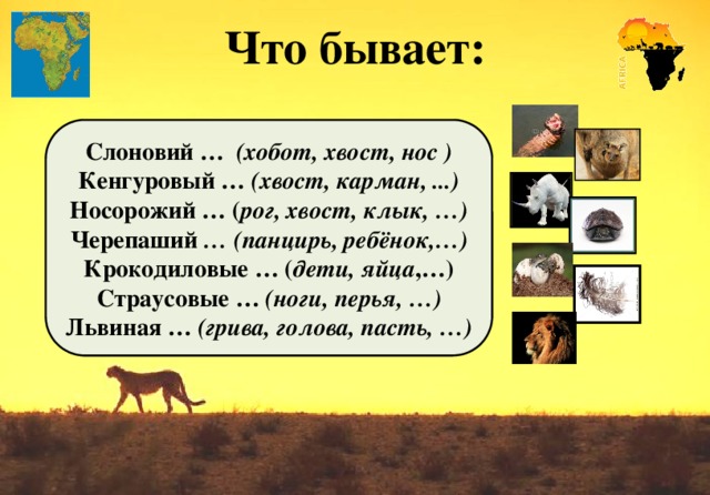 Что бывает: Слоновий … (хобот, хвост, нос ) Кенгуровый … (хвост, карман, ...) Носорожий … ( рог, хвост, клык, …) Черепаший … (панцирь, ребёнок,…) Крокодиловые … ( дети, яйца ,…) Страусовые … (ноги, перья, …) Львиная … (грива, голова, пасть, …)