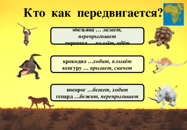 Кто как передвигается? обезьяна … лазает, перепрыгивает черепаха … ползёт, идёт крокодил … ходит, плывёт кенгуру … прыгает, скачет носорог … бегает, ходит гепард … бежит, перепрыгивает