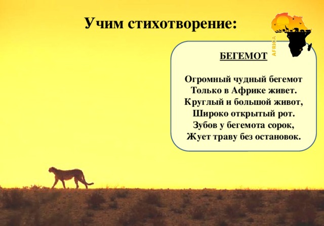 Учим стихотворение: БЕГЕМОТ  Огромный чудный бегемот Только в Африке живет. Круглый и большой живот, Широко открытый рот. Зубов у бегемота сорок, Жует траву без остановок.