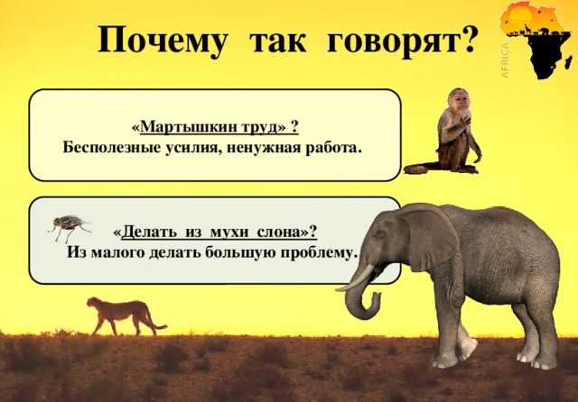 Почему так говорят?    « Мартышкин труд» ? Бесполезные усилия, ненужная работа.        « Делать из мухи слона»? Из малого делать большую проблему.