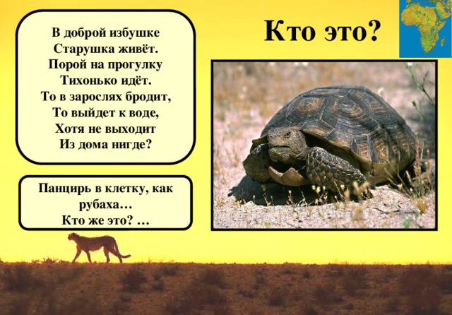 Кто это? В доброй избушке Старушка живёт. Порой на прогулку Тихонько идёт. То в зарослях бродит, То выйдет к воде, Хотя не выходит Из дома нигде? Панцирь в клетку, как рубаха… Кто же это? …