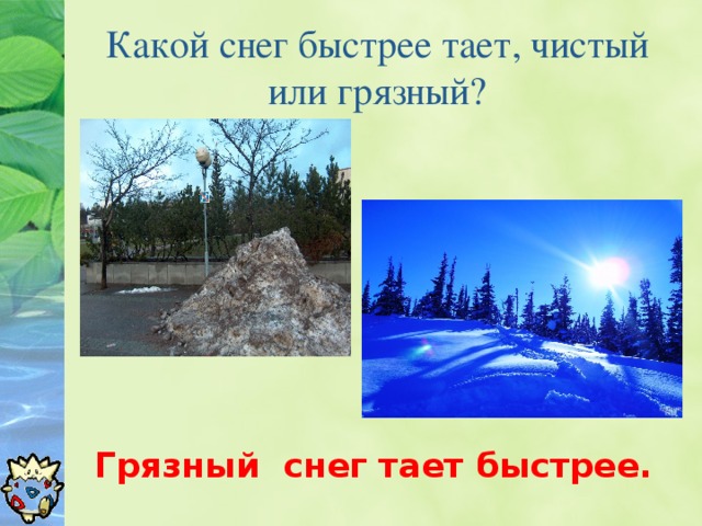 Какой снег быстрее тает, чистый или грязный? Грязный снег тает быстрее.