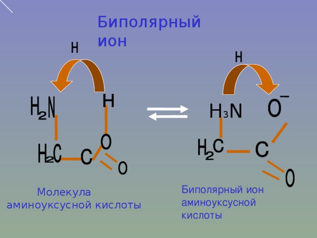 Биполярный ион H 3 N Биполярный ион аминоуксусной кислоты  Молекула  аминоуксусной кислоты
