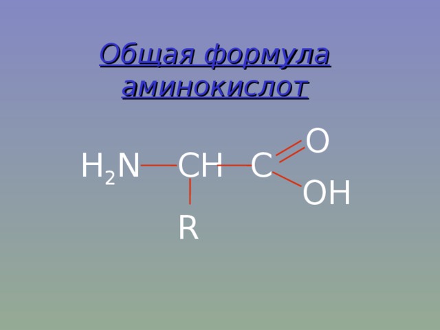 Общая формула аминокислот O C H 2 N CH OH R