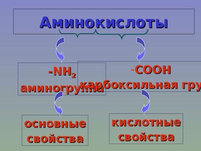Аминокислоты СООН карбоксильная группа - NH 2 аминогруппа кислотные свойства основные свойства