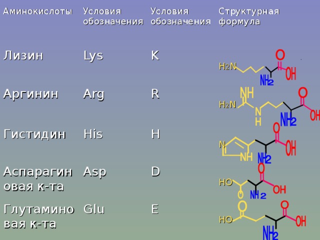 Аминокислоты Лизин Условия обозначения Lys Условия обозначения Аргинин Гистидин K Структурная формула Arg R His Аспарагиновая к-та Глутаминовая к-та H Asp Н 2 N D N Glu Н 2 N E НО НО