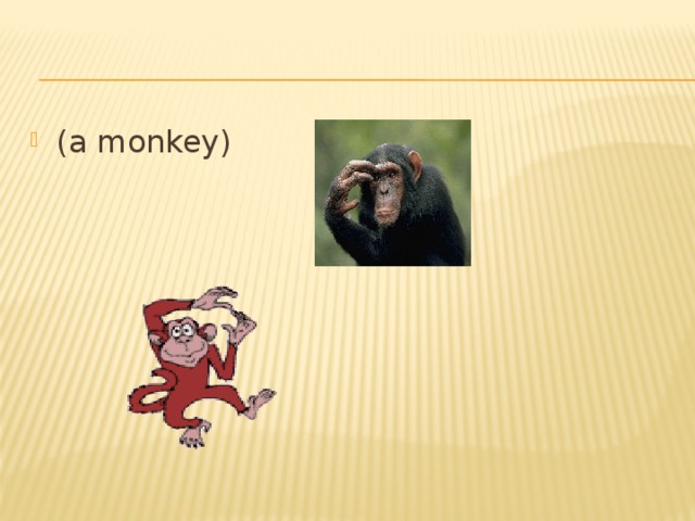 (a monkey)