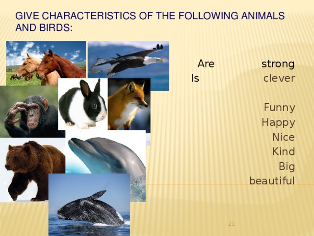 Give characteristics of the following animals and birds:    Are strong Is clever Funny Happy Nice Kind Big beautiful