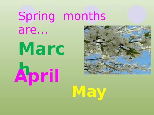 Spring months are… March April May