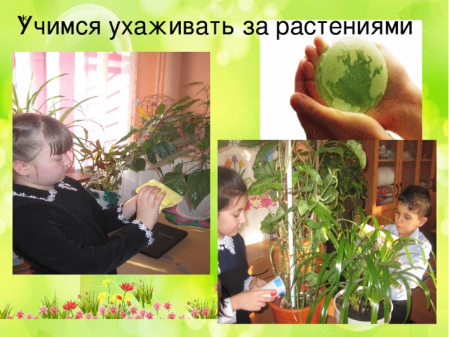 Учимся ухаживать за растениями *