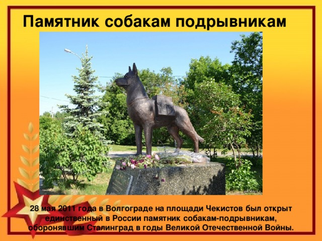 Памятник собакам подрывникам 28 мая 2011 года в Волгограде на площади Чекистов был открыт единственный в России памятник собакам-подрывникам, оборонявшим Сталинград в годы Великой Отечественной Войны.