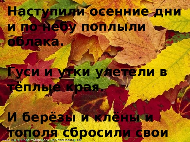 Наступили осенние дни и по небу поплыли облака.   Гуси и утки улетели в тёплые края.   И берёзы и клёны и тополя сбросили свои наряды.