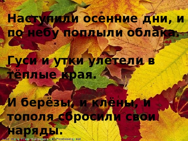 Наступили осенние дни, и по небу поплыли облака.   Гуси и утки улетели в тёплые края.   И берёзы, и клёны, и тополя сбросили свои наряды.