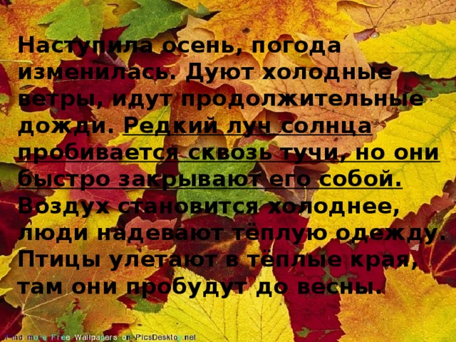 Наступила осень, погода изменилась. Дуют холодные ветры, идут продолжительные дожди. Редкий луч солнца пробивается сквозь тучи, но они быстро закрывают его собой. Воздух становится холоднее, люди надевают тёплую одежду. Птицы улетают в тёплые края, там они пробудут до весны.